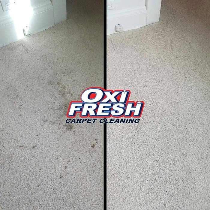 Photo of Oxi Fresh Carpet Cleaning