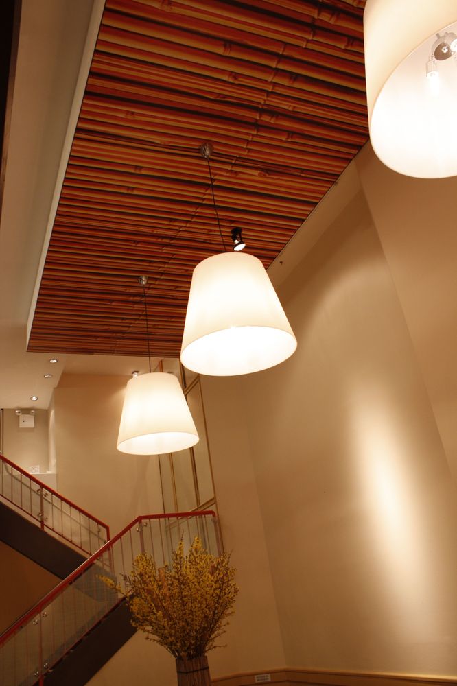 Photo of Citi Ceilings