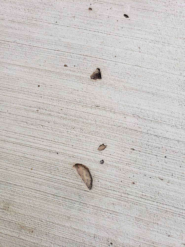Photo of Jose's Concrete Services