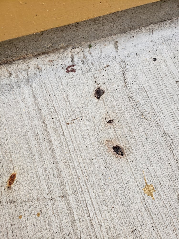 Photo of Jose's Concrete Services