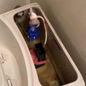 Jacksonville Everybody's Plumbing Co