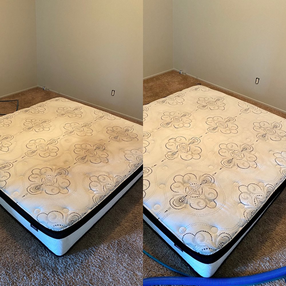Photo of Elite Carpet Care