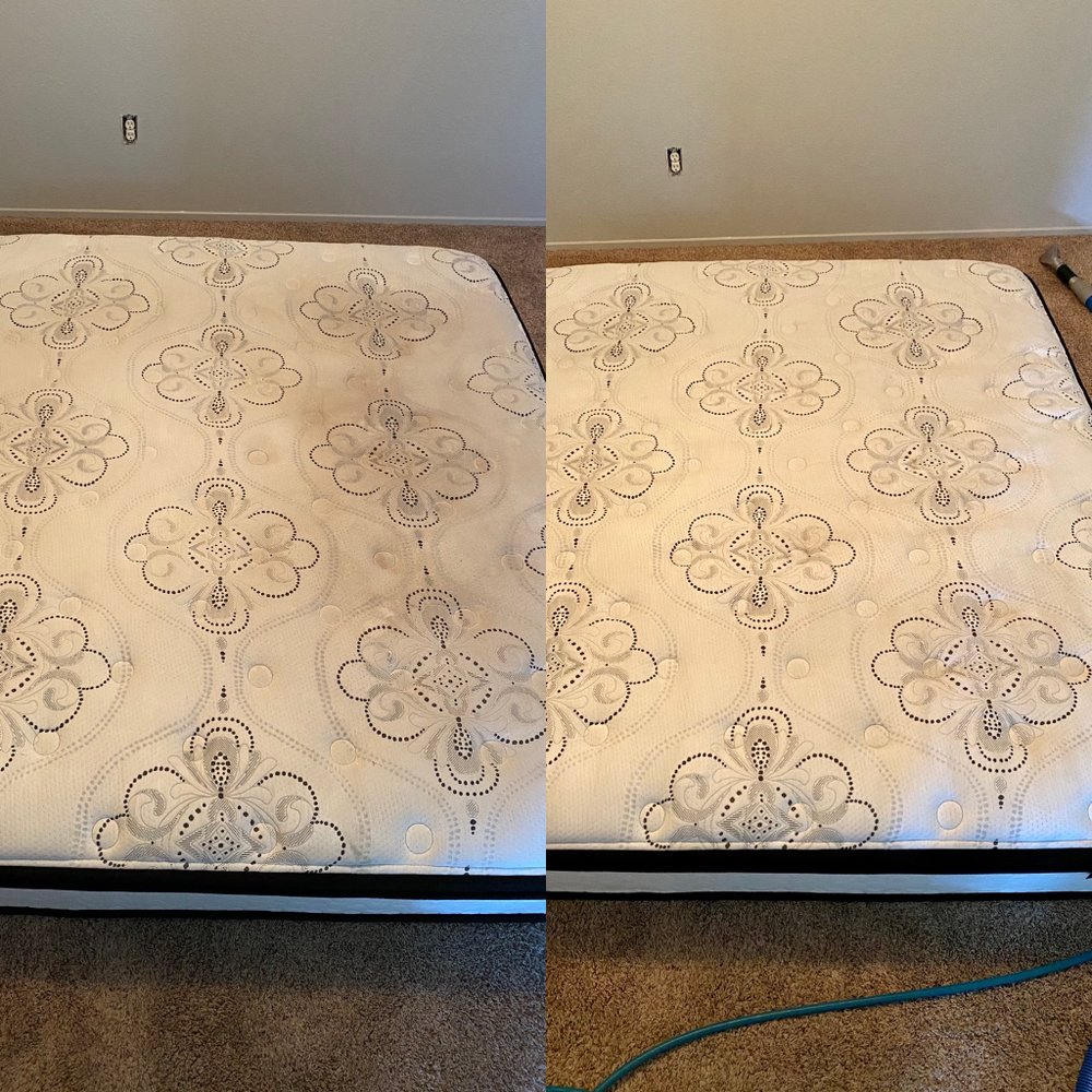 Photo of Elite Carpet Care