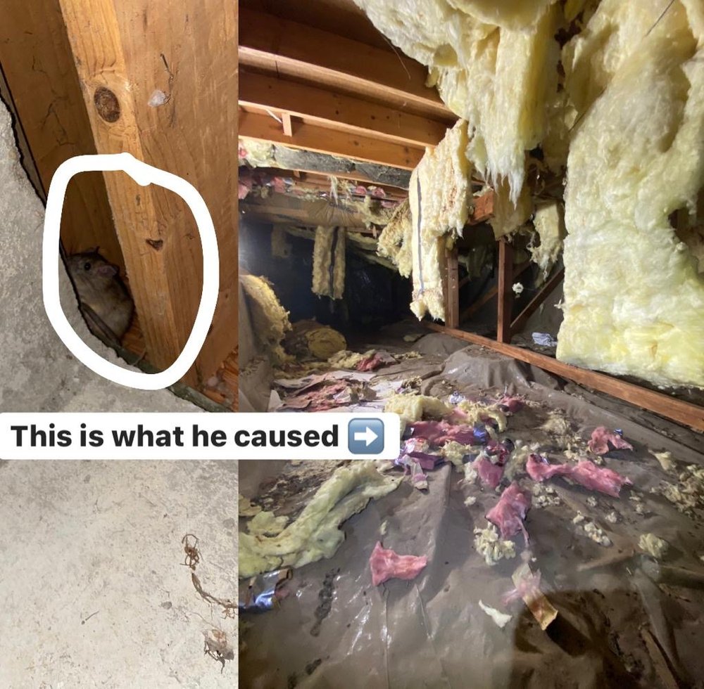 Photo of Northwest Crawl Space Services