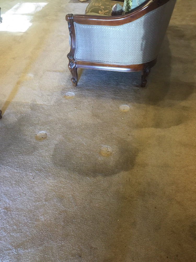 Photo of FCC Carpet Steam Cleaning