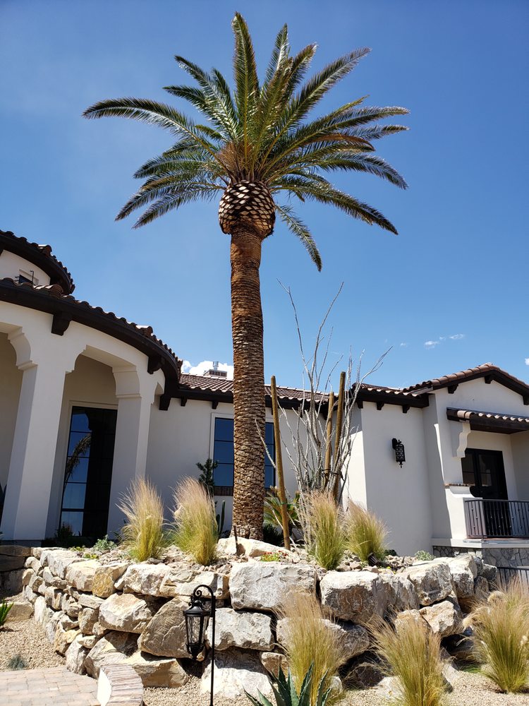 Photo of First Choice Tree Service