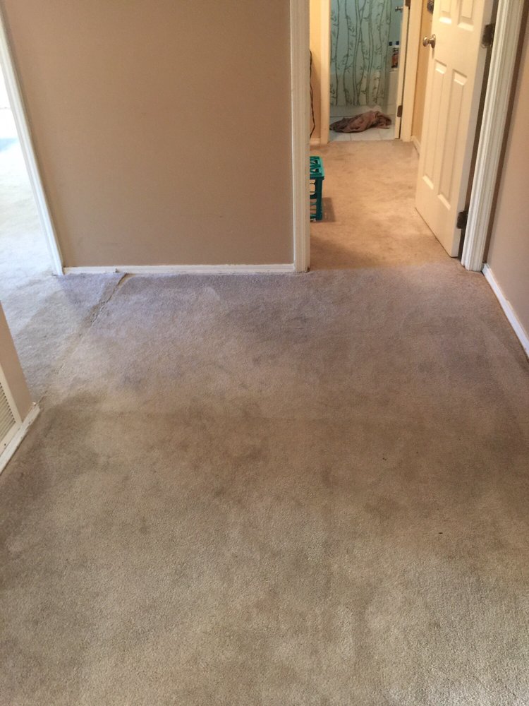 Photo of Oxi Fresh Carpet Cleaning