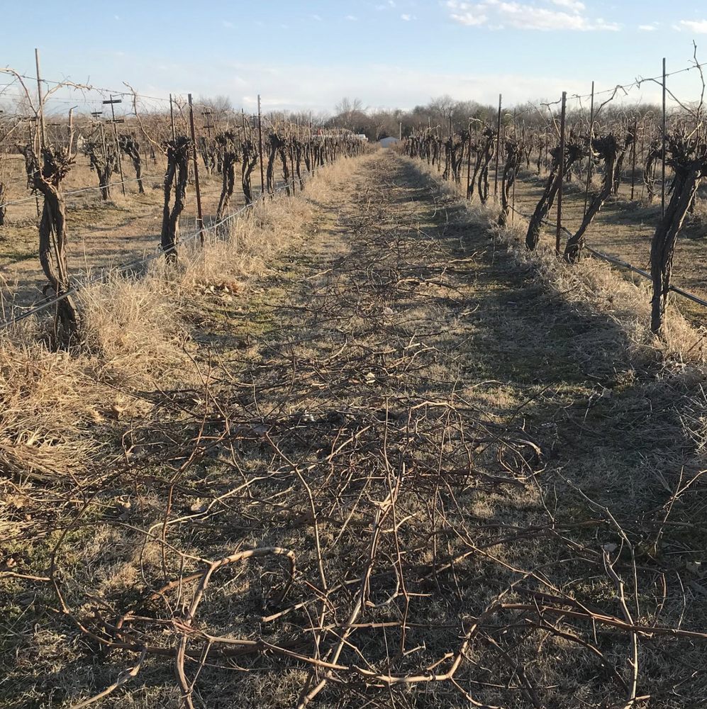 Photo of Canadian River Vineyards & Winery Llc