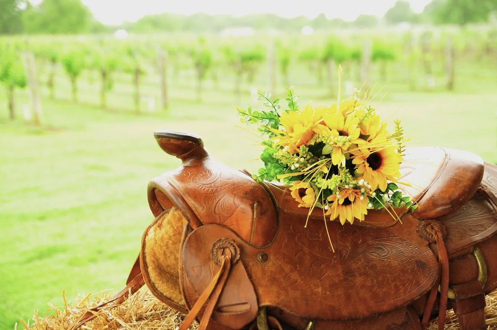 Photo of Canadian River Vineyards & Winery Llc