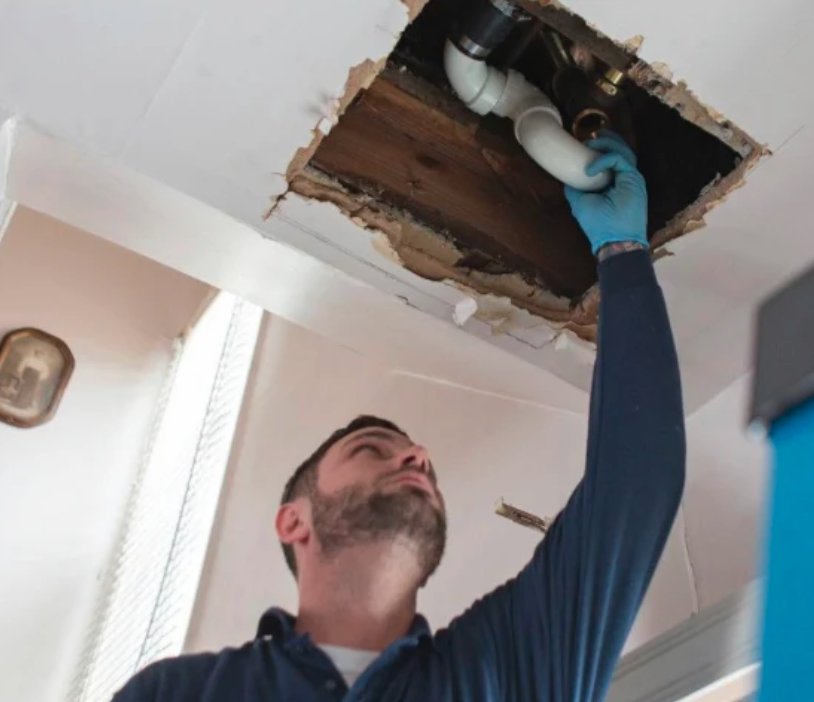 Photo of Thee Plumber