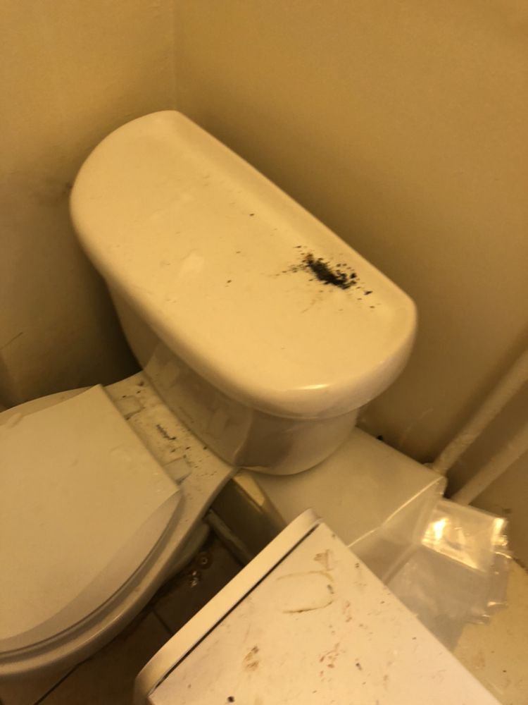 Photo of A Lust 2 Bust Dust