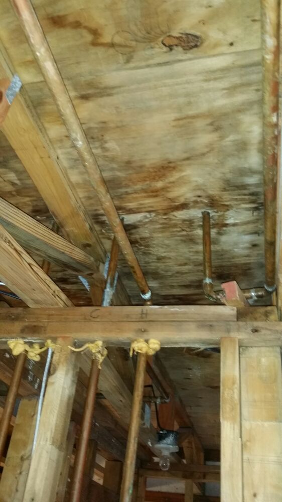Photo of DLW Demolition and Sanitizing