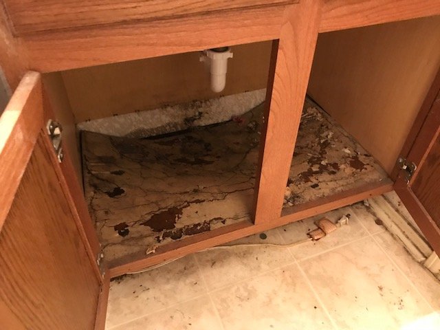 Photo of Restore-Aid Restoration