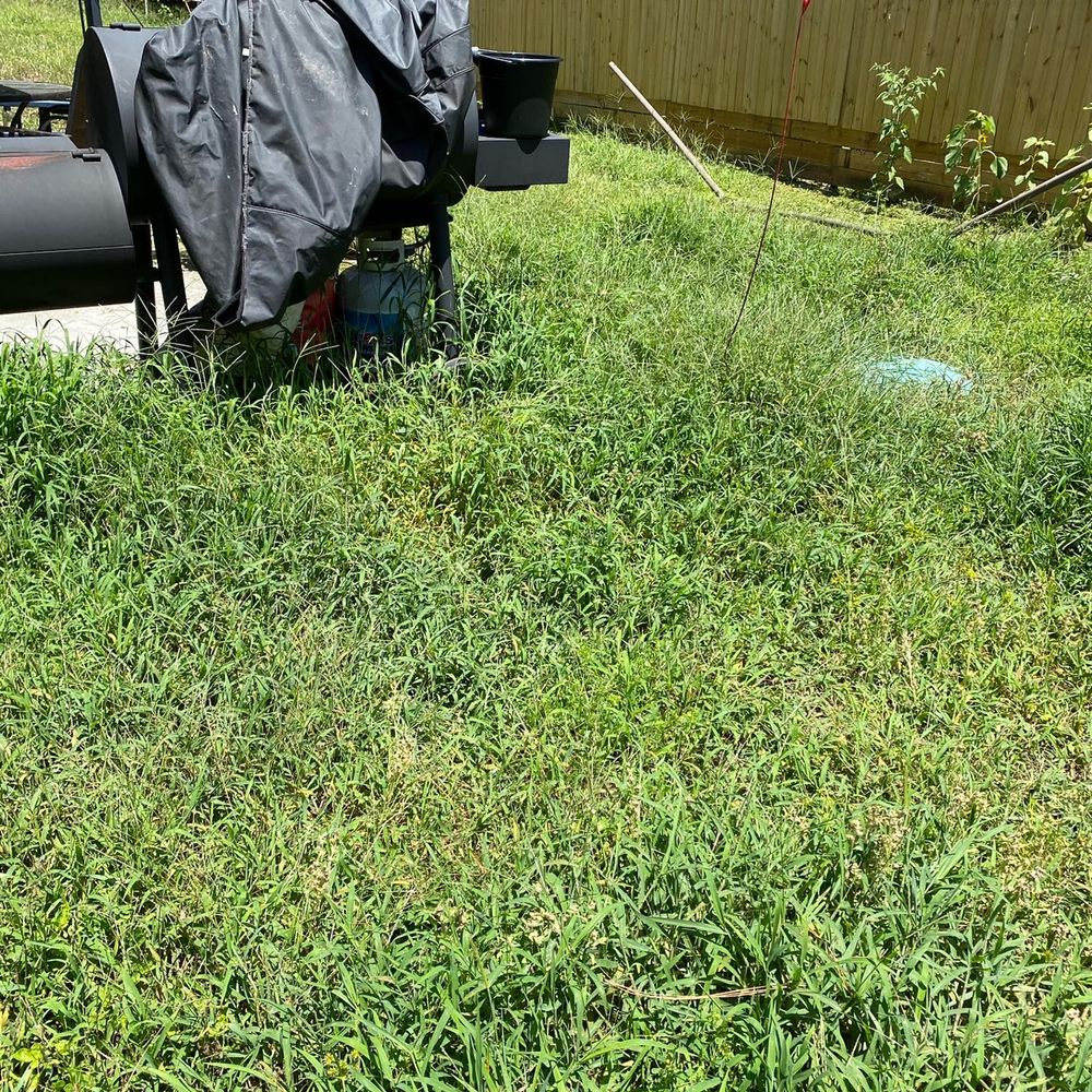 Photo of El Cubanito's Lawn And Landscaping Services