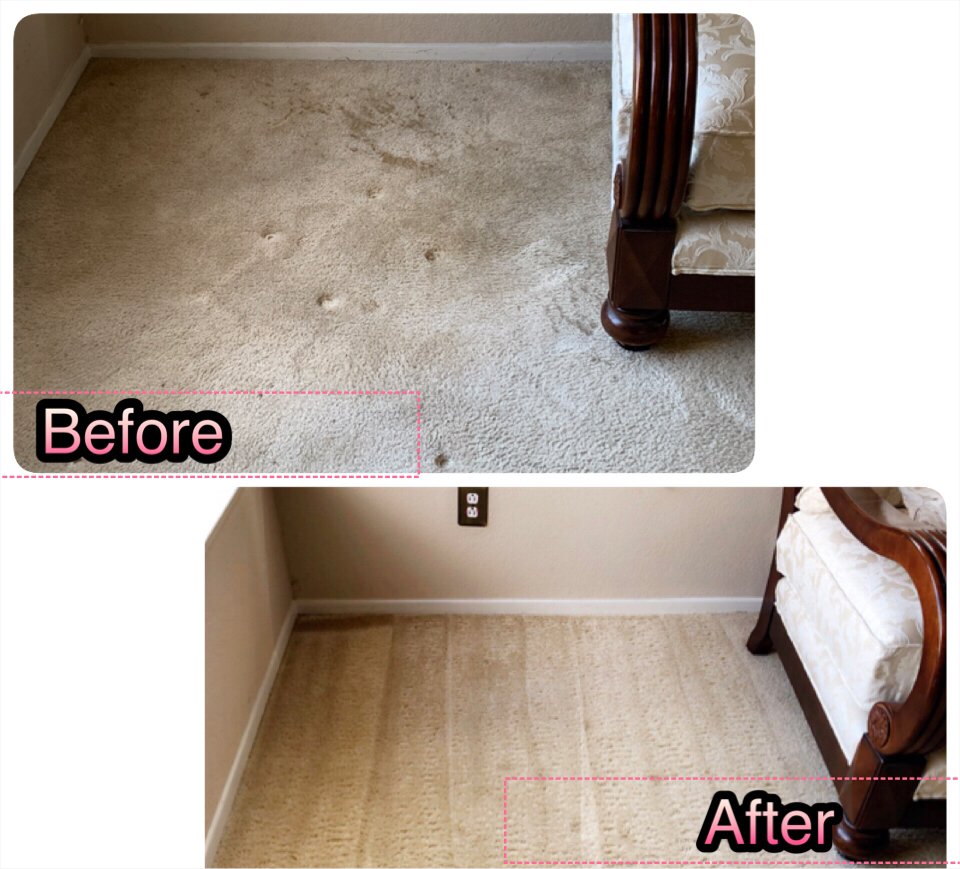 Photo of Time To Shine Carpet Cleaning