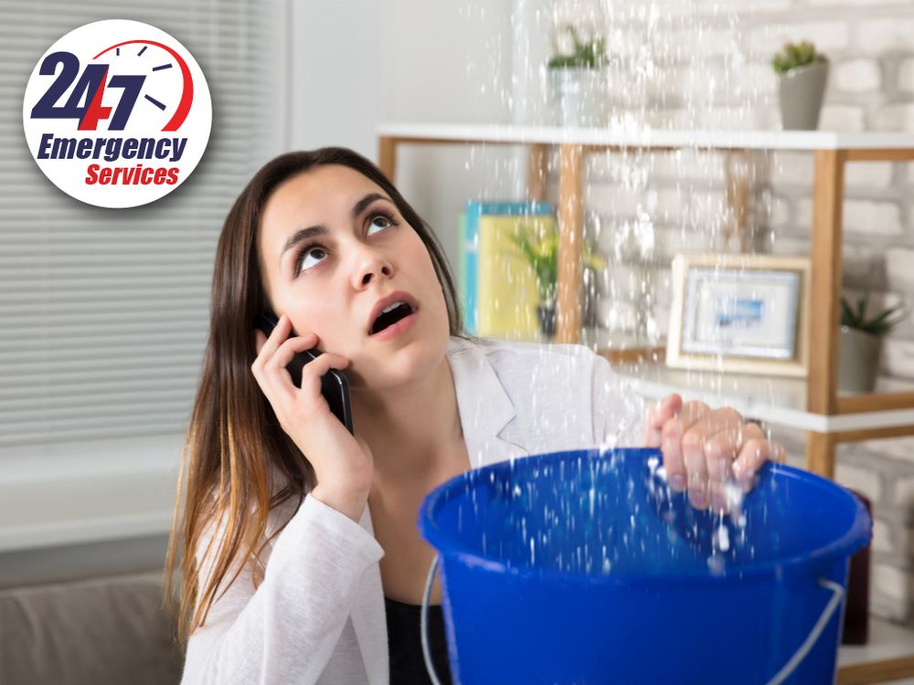 Photo of Global Plumbing FL
