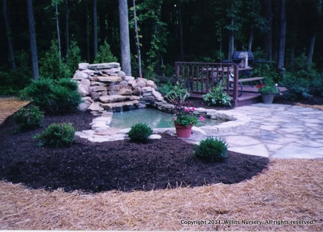 Photo of Willits Nursery