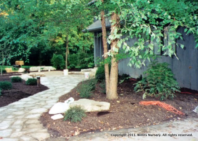 Photo of Willits Nursery