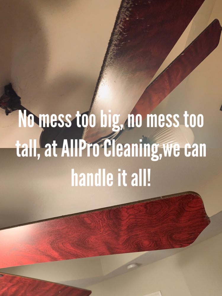 Photo of Eliteness Cleaning Maid Service of Jackson