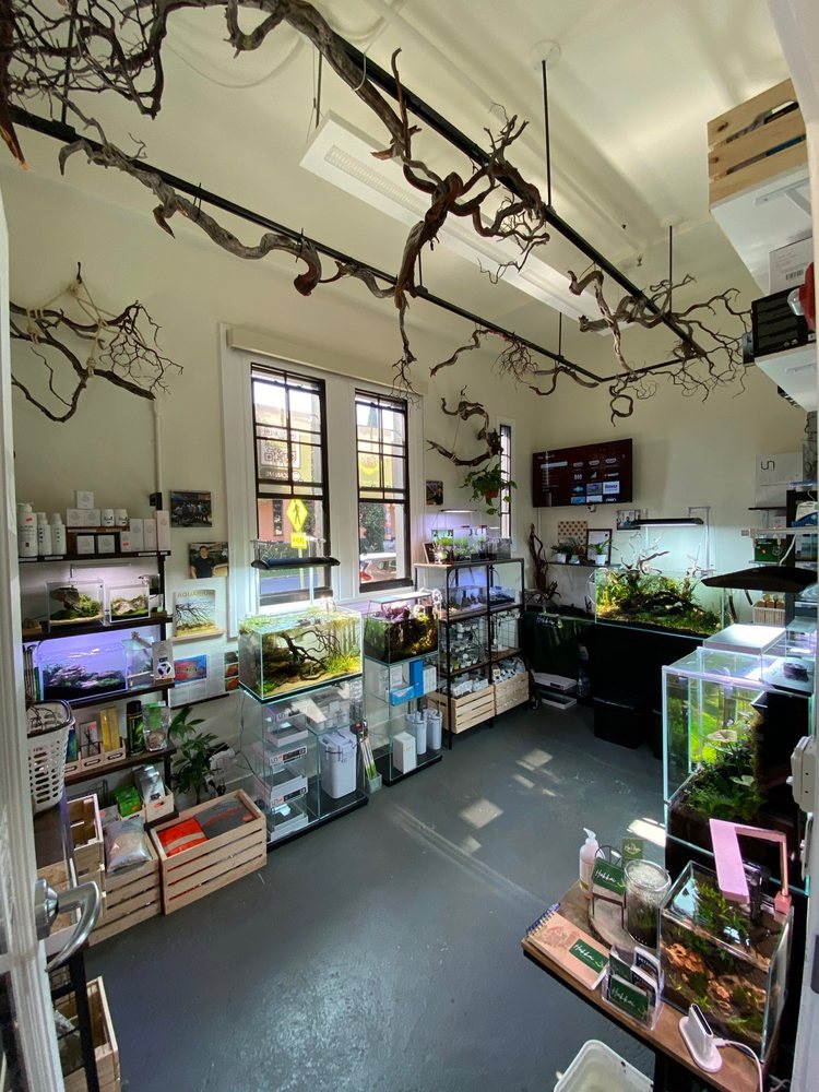 Photo of Hakkai - Aquascape Design Gallery