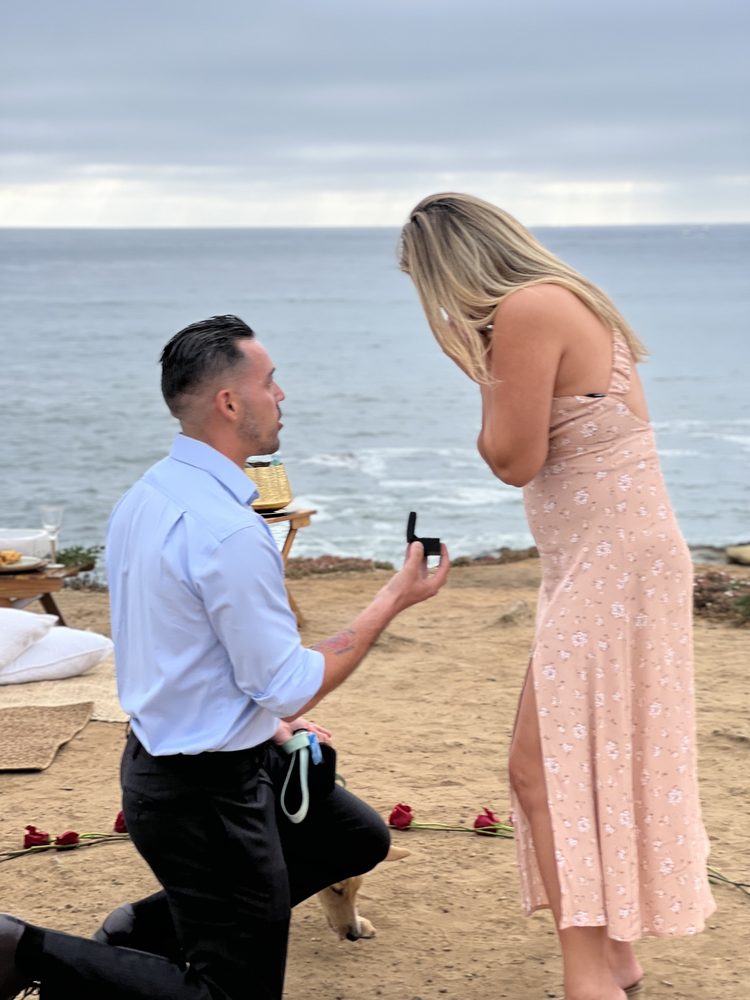Photo of Private Picnics
