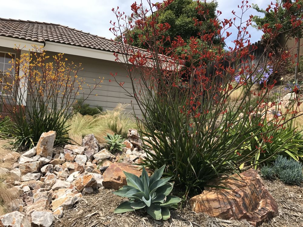 Photo of Natural Aspect Gardenscape