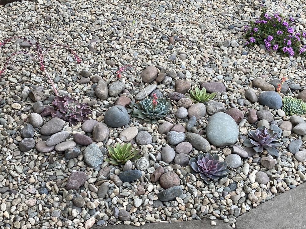 Photo of Natural Aspect Gardenscape