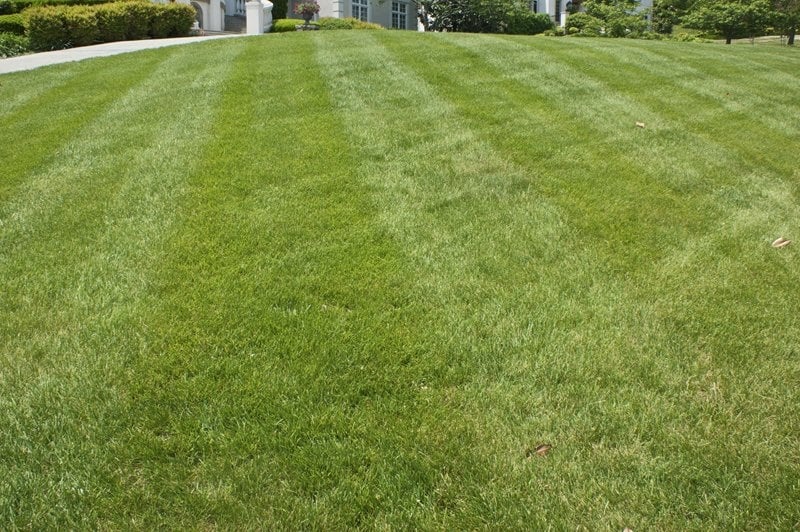 Photo of Turf Managers