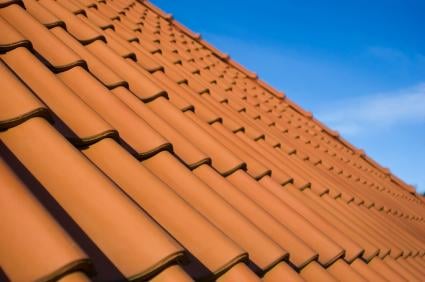 Photo of Jack the Roofer
