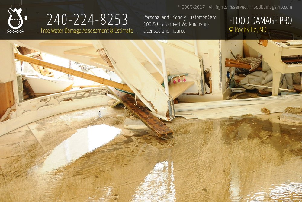 Photo of Flood Damage Pro