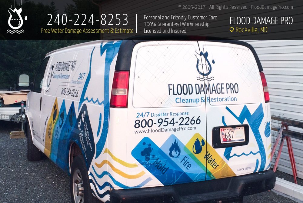 Photo of Flood Damage Pro