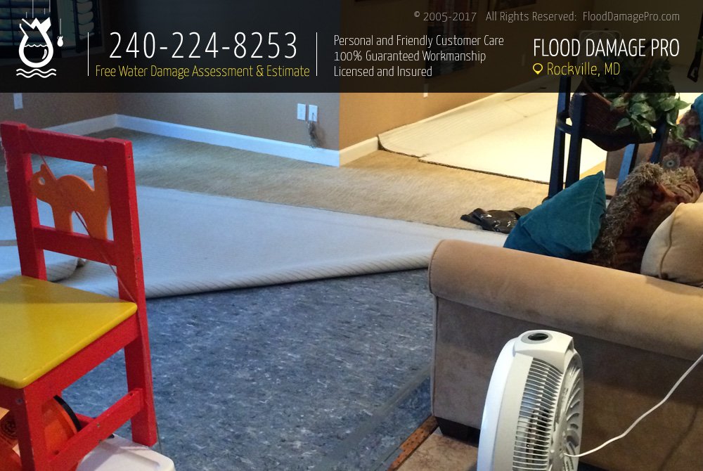 Photo of Flood Damage Pro