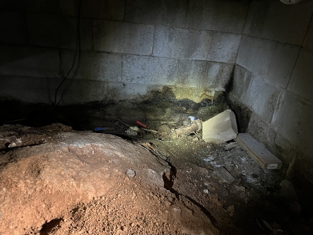 Photo of Triad Mold and Waterproofing