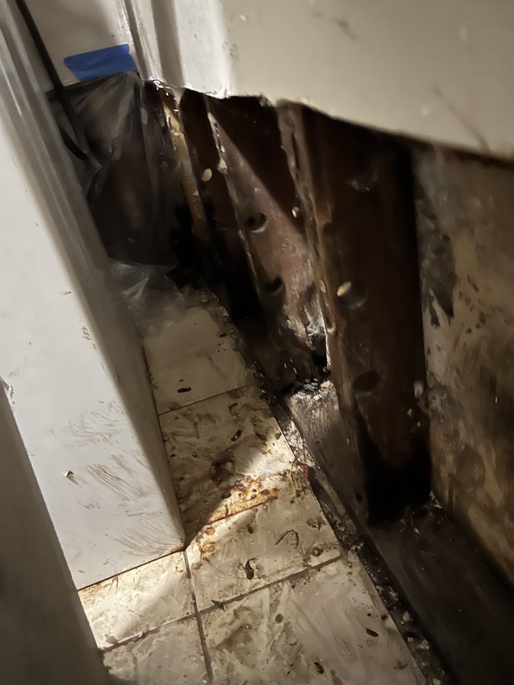 Photo of Triad Mold and Waterproofing
