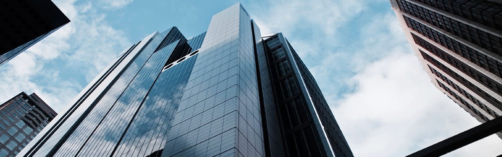 Photo of The Blau & Berg Company