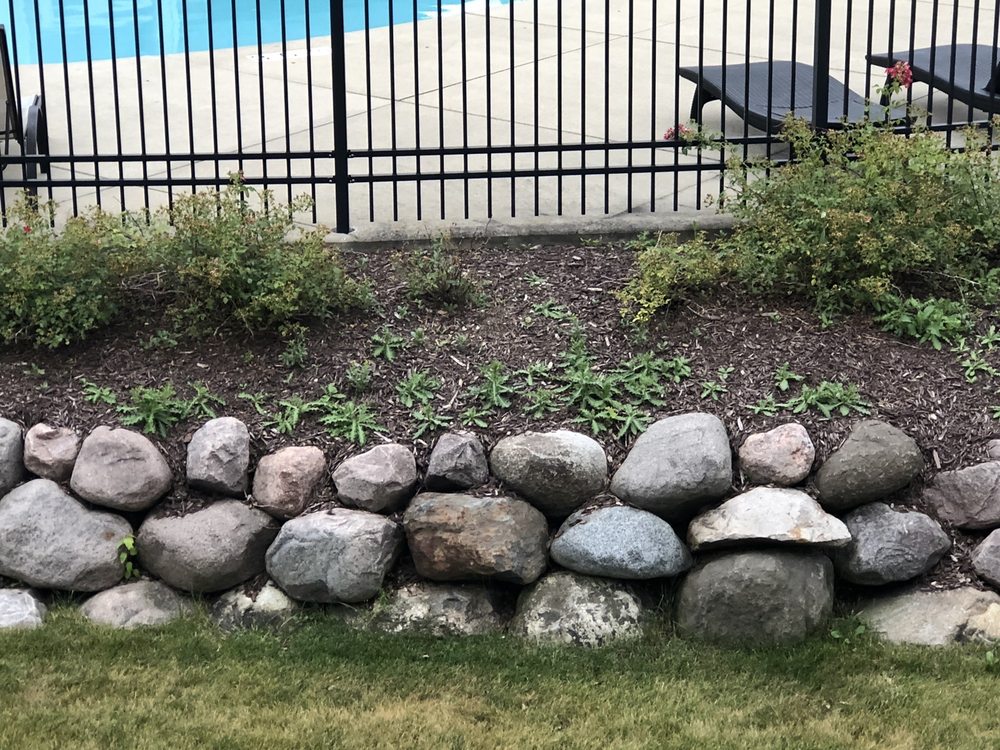 Photo of Hawks Landscape