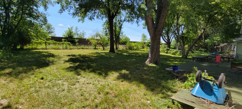 Photo of 20/20 Lawn Care