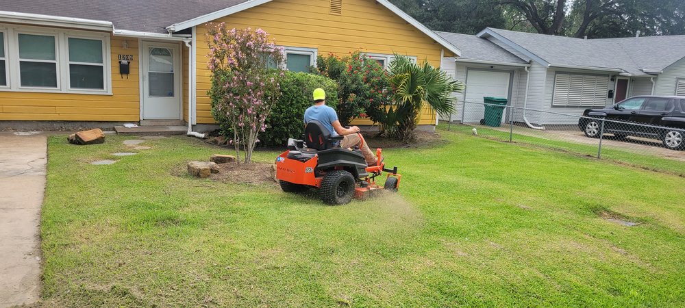 Photo of Yard Excellence
