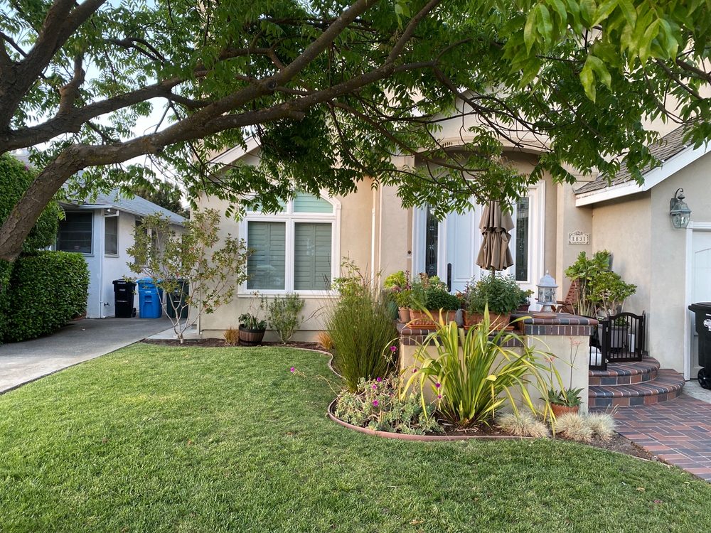 Photo of Rodriguez Tree Service