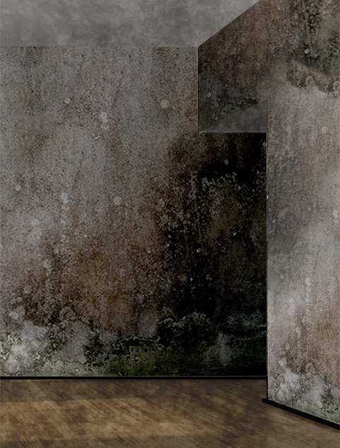 Photo of Restoration 1 of Charlotte