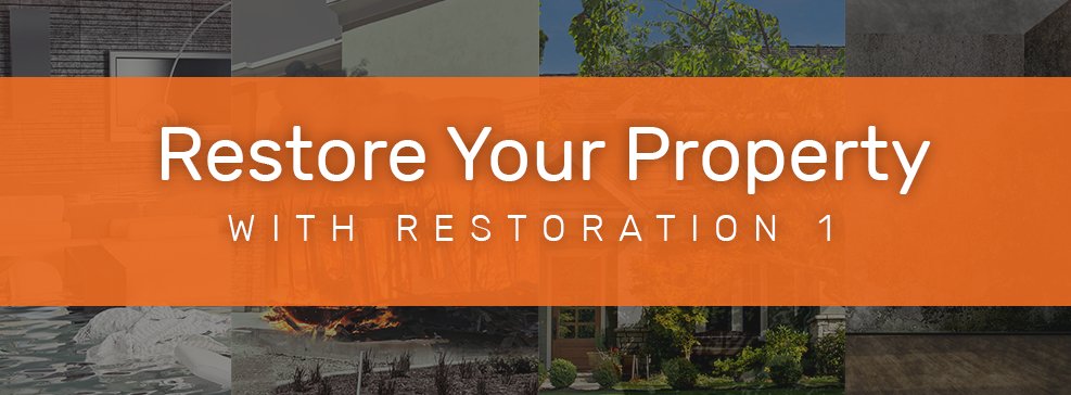 Photo of Restoration 1 of Charlotte