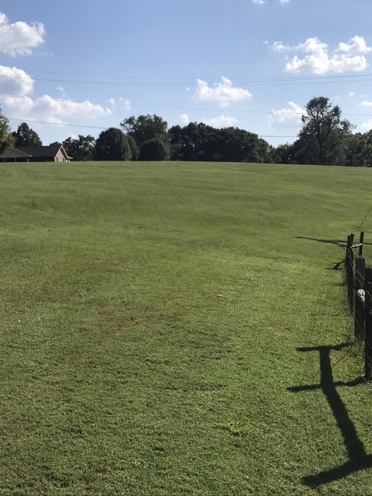 Photo of Greenscapes Lawn Maintenance