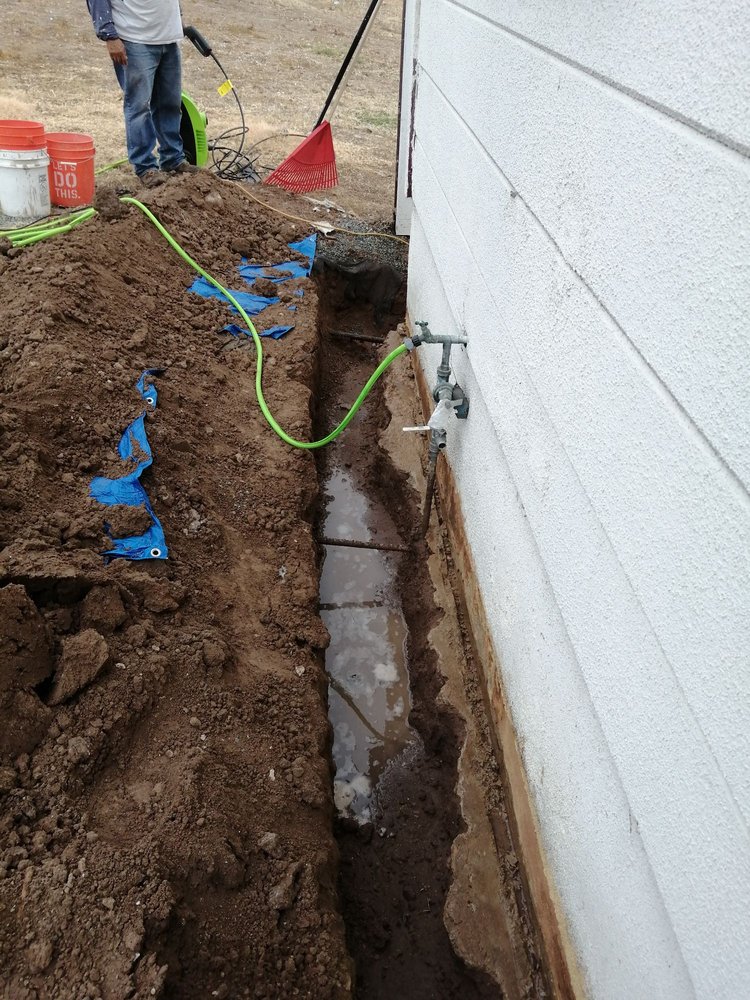 Photo of Live Green Turf Landscaping