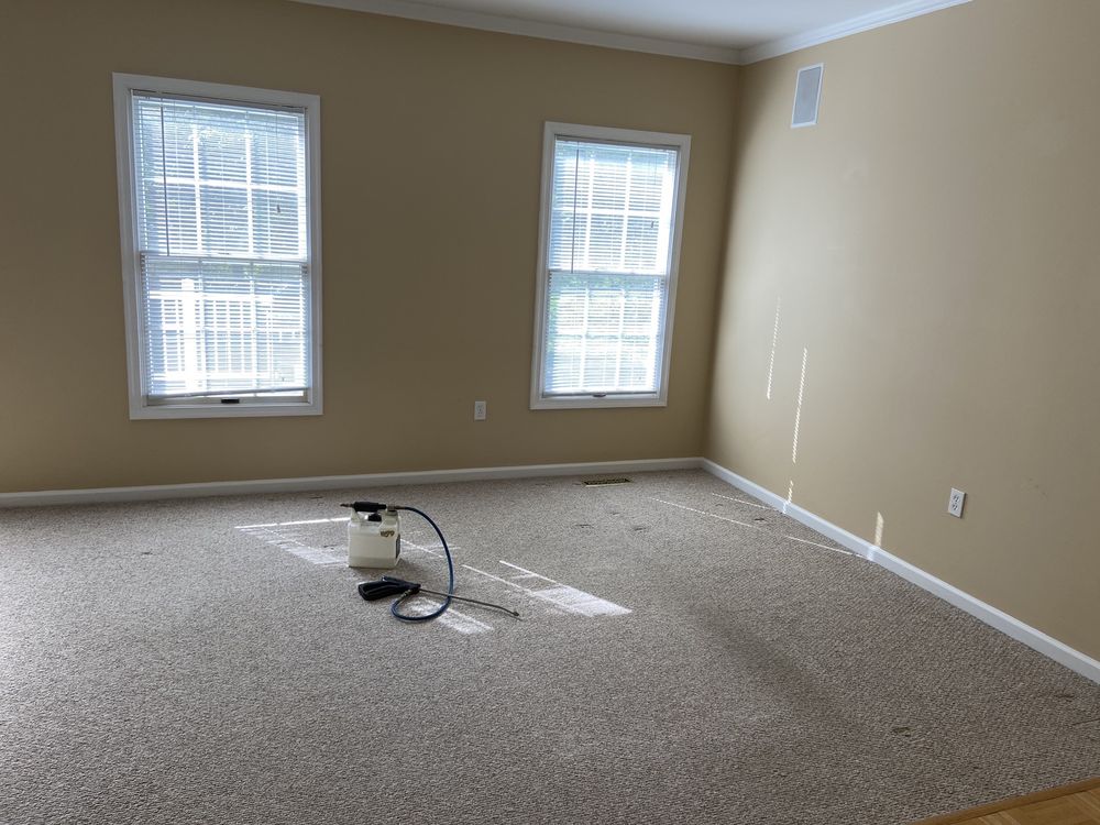 Photo of True Clean of Virginia