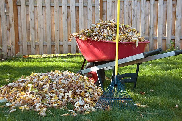 Photo of Your Time Lawn Care