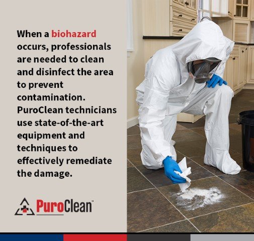 Photo of PuroClean of Aventura