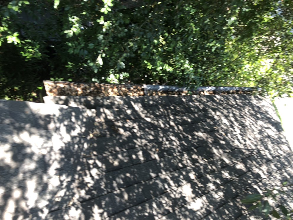 Photo of D2Z Surface Care