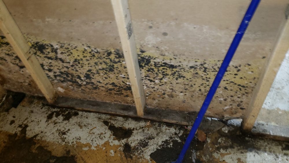 Photo of Strictly Cleaning Restoration