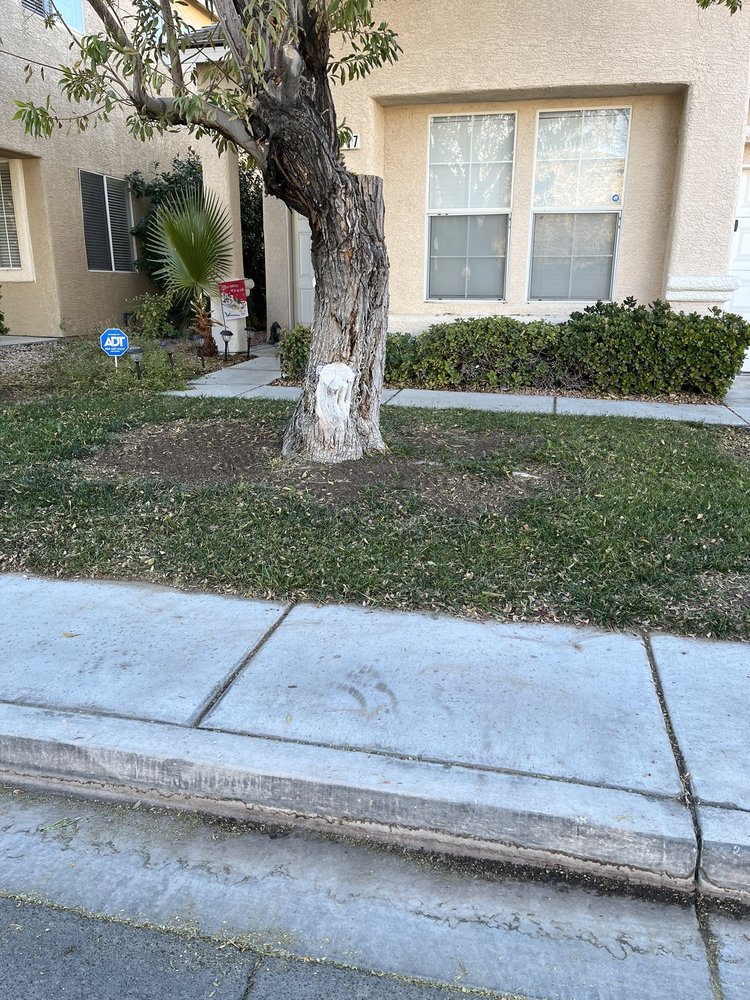 Photo of Progress Residential