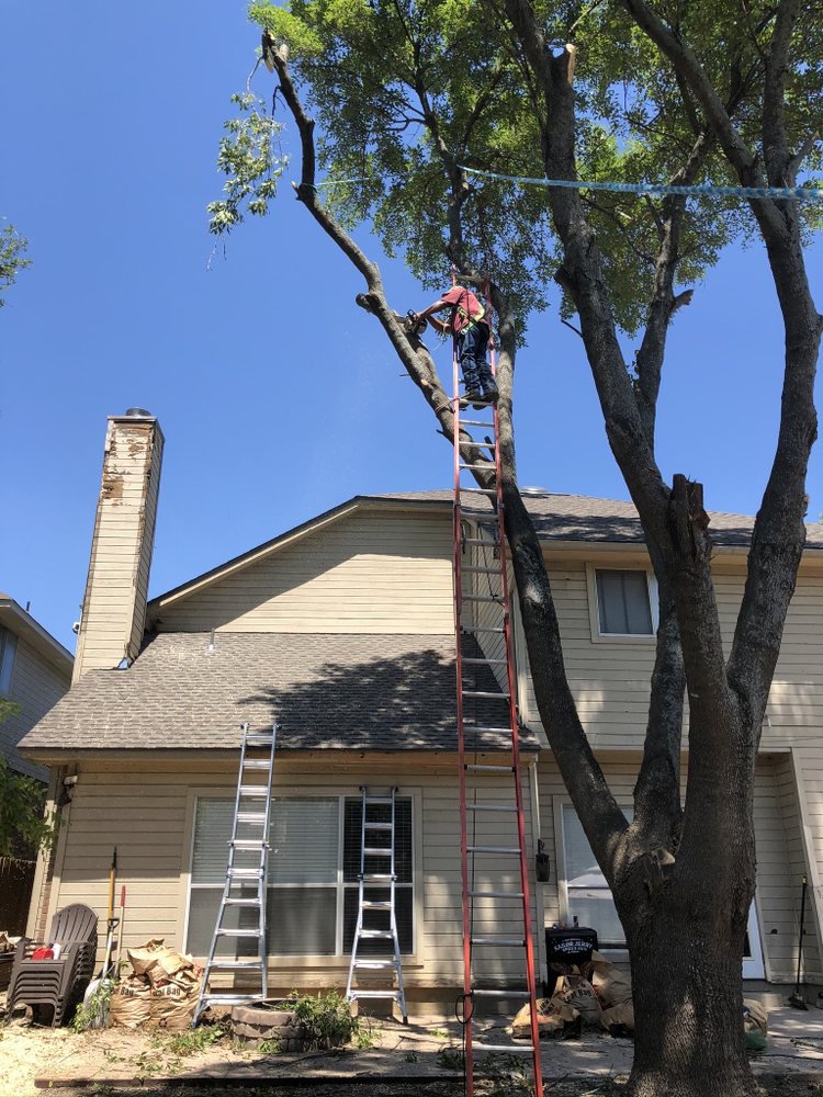 Photo of Neighborhood Lawn Care and Tree Service